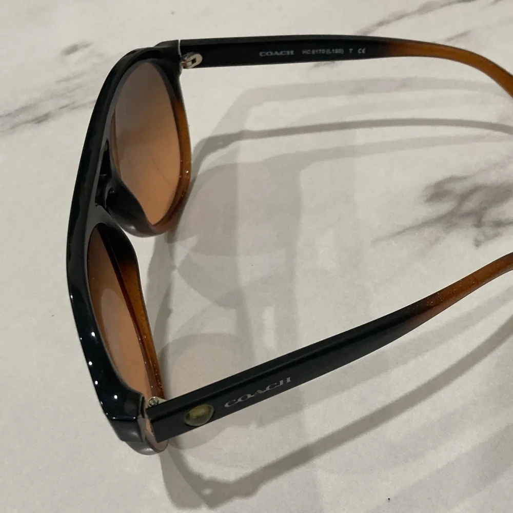Coach Men's Pilot Sunglasses - Black & Brown